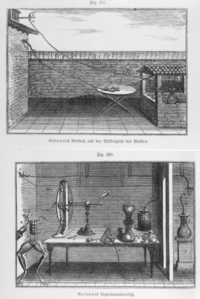 Experiment on frogs by Louis Galvani (1737-98) by French School