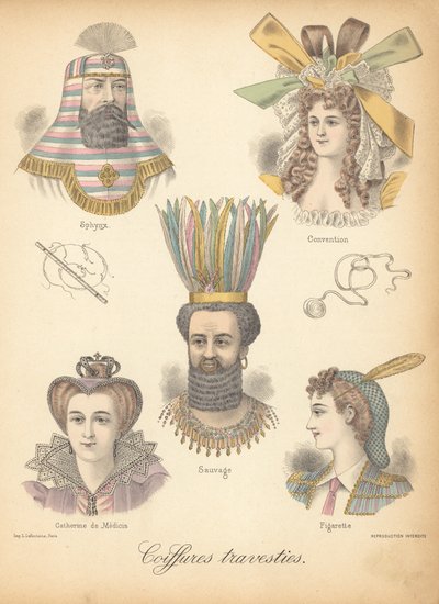 Extraordinary Hairstyles by French School