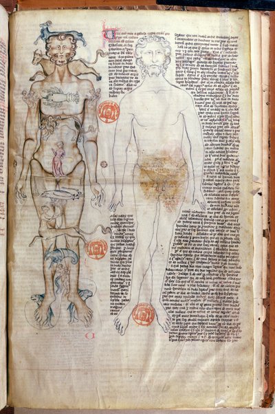 The Relationship between the Human Body and the Signs of the Zodiac, from a medical treatise by Abul Qasim Khalaf ibn al-Abbas al-Zahrawi (Abulcasis) translated by Gerard de Cremone by French School