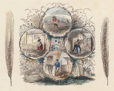 Farming of wheat and rye by French School