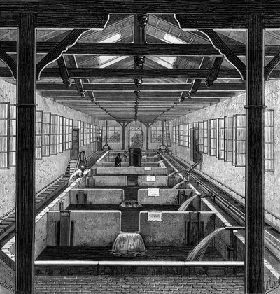 Fish farming: the farmed pools of fry in Huningue, Haut Rhin by French School