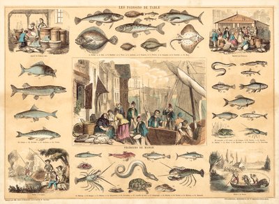 Fishes by French School