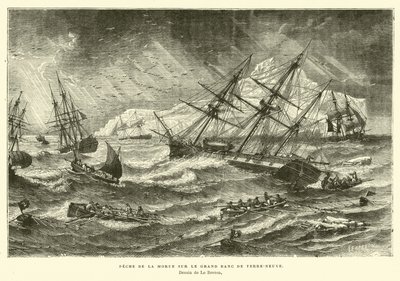 Fishing for Cod on the Grand Banks, Newfoundland by French School