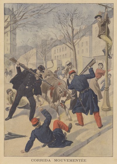 French Soldiers and Police Killing an Escaped Cow in Limoges by French School