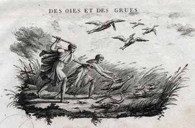 Geese and Cranes. Fable of Aesop. Written by Guillaume Montfort and engraved by Beauble in 1801. by French School