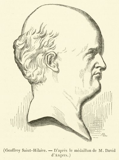 Geoffroy Saint-Hilaire (engraving) by French School