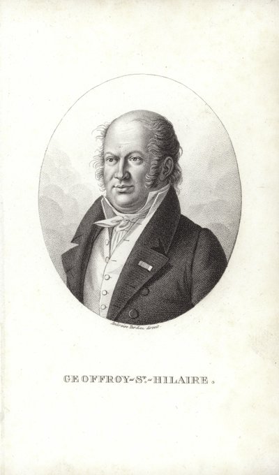 Geoffroy Saint-Hilaire by French School