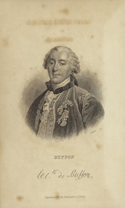 Georges-Louis Leclerc, Comte de Buffon by French School