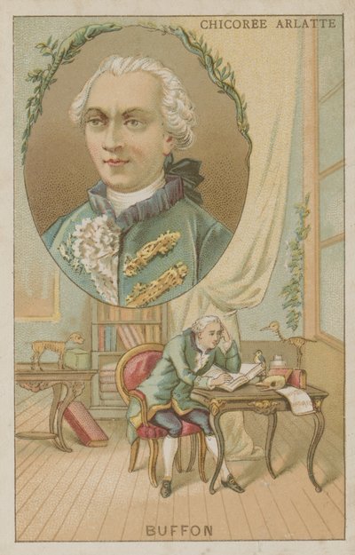 Georges-Louis Leclerc, Comte de Buffon by French School