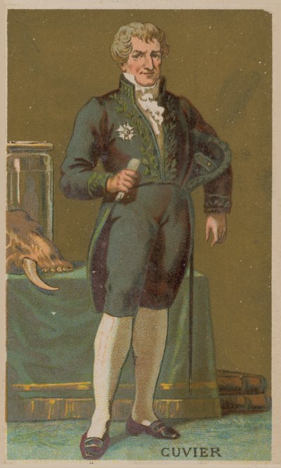 Georges Cuvier, French naturalist and zoologist by French School