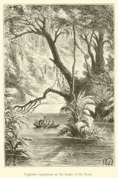 Gigantic Vegetation on the Banks of the Temi (engraving) by French School