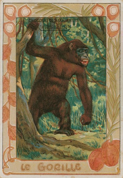 Gorilla by French School