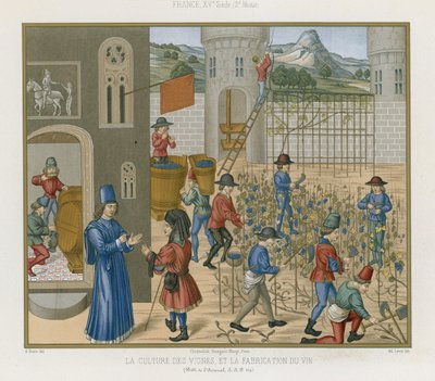 Growing vines and making wine by French School