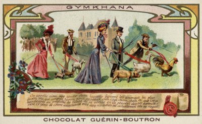 Gymkhana by French School