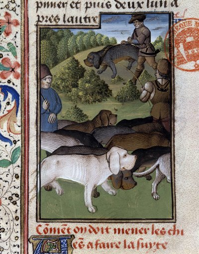 Hunting Dogs - in Hunting Book of Gaston Phoebus, Count of Foix, Lord of Béarn by French School