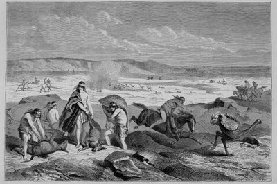 Hunting guanaco (wild Lama) and nandou (or Patagonian ostrich) in Argentina - in 