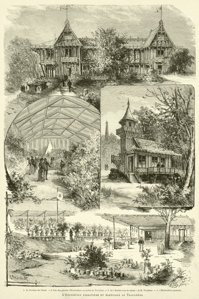 The Forestry and Horticultural Exhibition at the Trocadero by French School