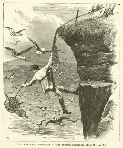 Penguin Hunting by French School