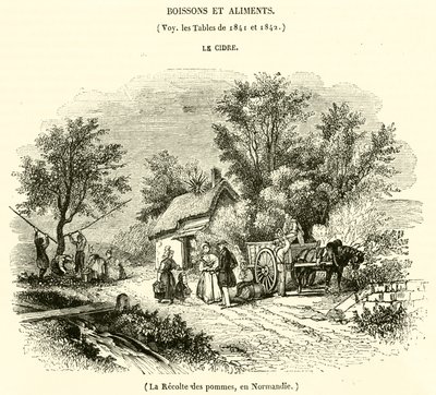 Apple harvest, in Normandy by French School