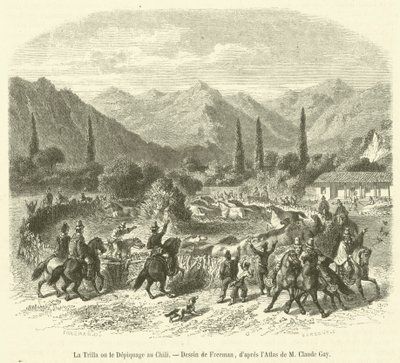 Threshing in Chile by French School