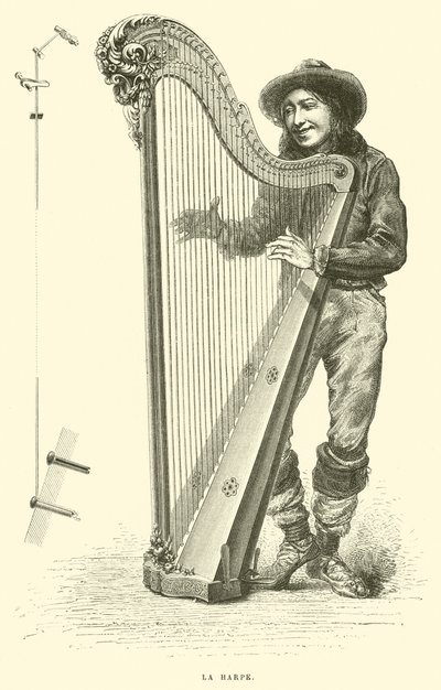 The Harp by French School