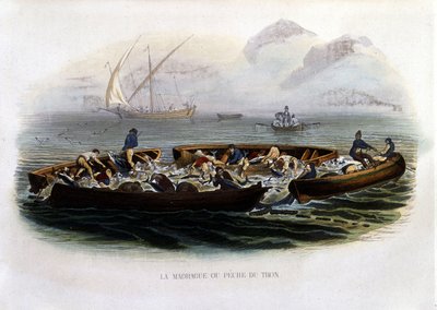 La Madrague or Tuna Fishing - in "Histoire naturelle de Lacépède" by French School