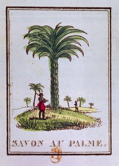 Label for a palm oil scented soap, depicting a palm tree by French School