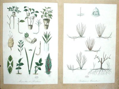Layers and Cuttings by French School