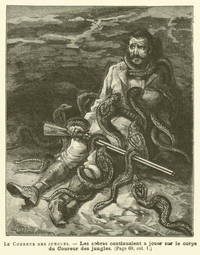 The Jungle Runner by French School
