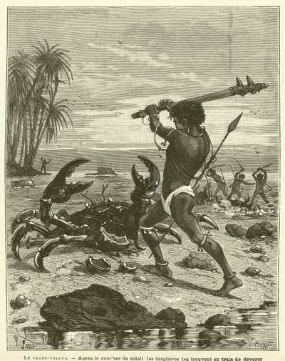 The Coconut Crab (engraving) by French School