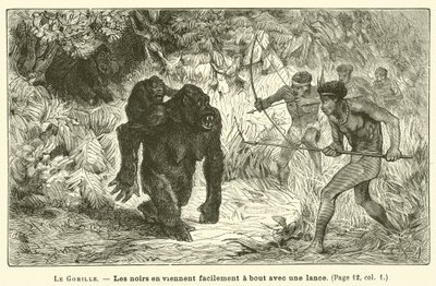 The Gorilla (engraving) by French School