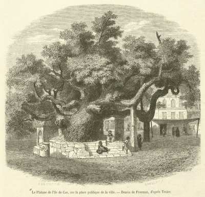 The Plane Tree of the Island of Cos in the Public Square of the City by French School