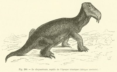 The Dicynodont, Reptile of the Triassic Period, Southern Africa by French School