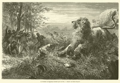Dr. Livingstone Overpowered by a Lion by French School