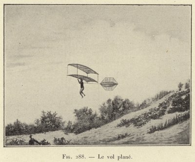 The Gliding Flight by French School