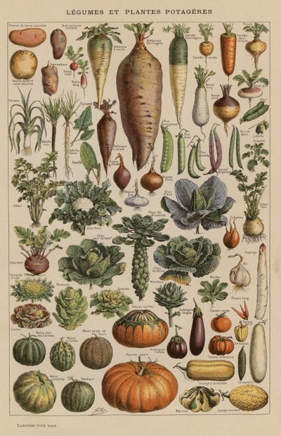 Legumes and Garden Plants by French School