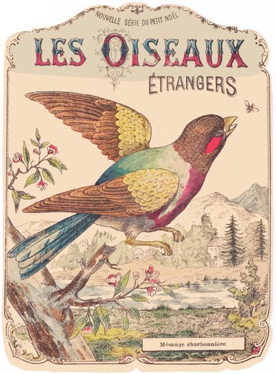 Foreign Birds: album cover. Charbonniere tit, late 19th century by French School
