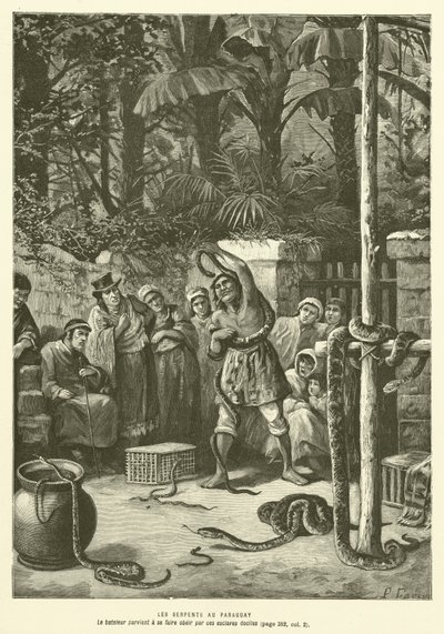 The Serpents in Paraguay (engraving) by French School