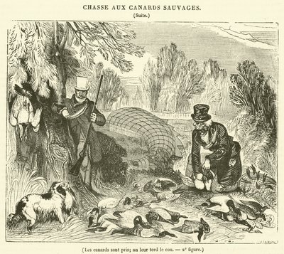 The Ducks are Caught, Their Necks are Twisted by French School