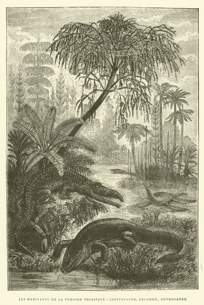 Inhabitants of the Triassic Period, Capitosaurs, Belodon, Nothosaurus by French School
