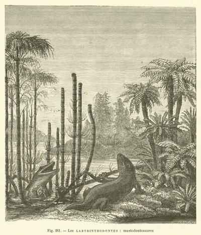 The Labyrinthodonts, Mastodontosaurs by French School
