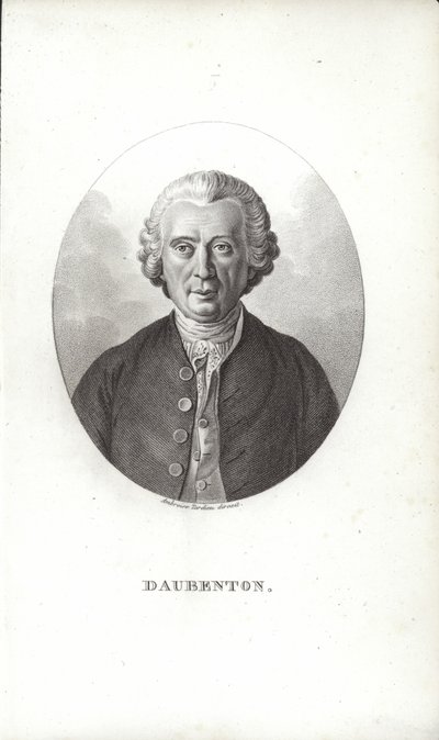 Louis-Jean-Marie Daubenton by French School