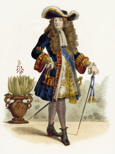 Louis XIV by French School