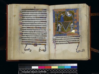 David Prays to God, from the Psalter and Hours of Isabella of France by French School
