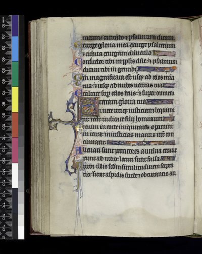 Folio from the Psalter and Hours of Isabella of France by French School