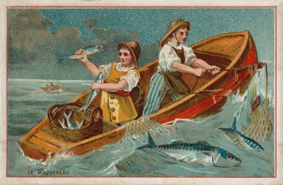 Mackerel by French School