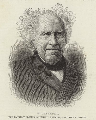 Michel Eugene Chevreul by French School