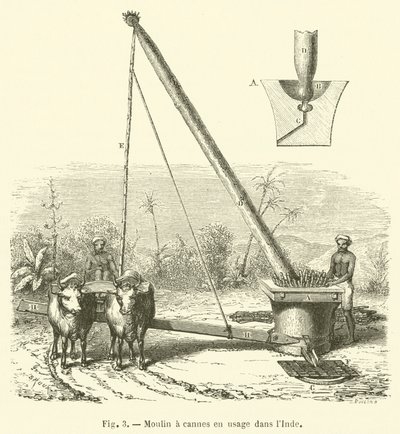Cane Mill Used in India (engraving) by French School