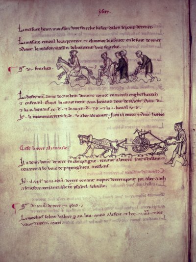 Labours, from Vieil Rentier dAudenarde, 1291-1302 by French School