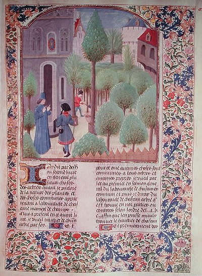 Planting Trees, from Livre des Prouffitz Champestres by Pietro de Crescenzi (1230-1320) by French School